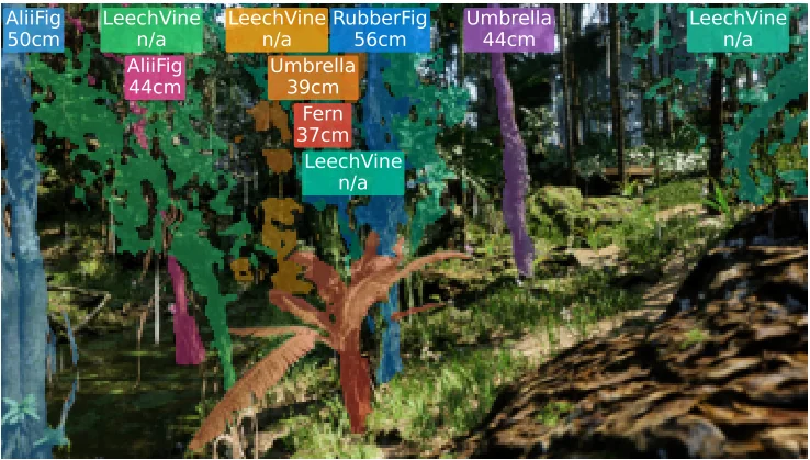 The same scene with coloured instance masks over individual trees and labels giving predicted species and trunk diameter in centimetres, for example Umbrella 39 cm and RubberFig 56 cm.