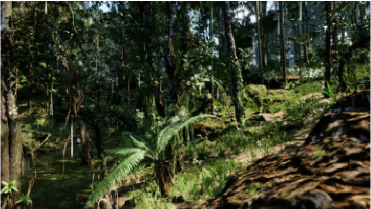Ground-level view under a dense rainforest canopy: tree trunks, ferns and vines.